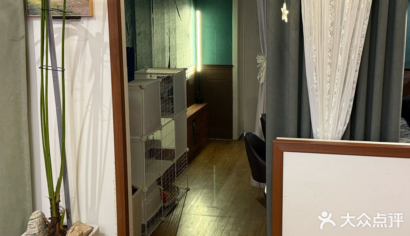 安静的角落，美好的一天