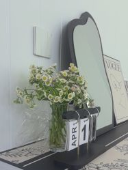 -白月光皮肤管理·德国LDM