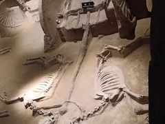 -洛阳周王城天子驾六博物馆