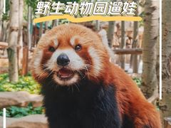 -北京野生动物园