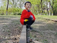 -永定河休闲森林公园