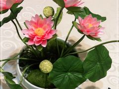 -小城外婆肴私房菜.家宴聚集点(圆明园颐和园·清河上地店)