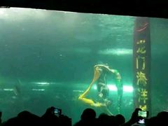 -洛阳龙门海洋馆
