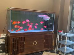 -老酒川菜坊(中山西路店)