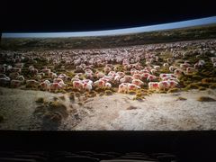 -博纳UA影城(KK Mall IMAX店)