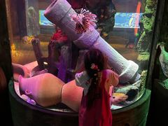 -沈阳海洋探索中心