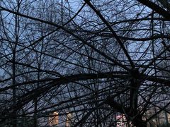 -西宁市人民公园(城西区)