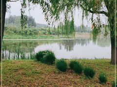 -东郊湿地公园