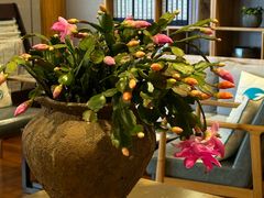 -黄山玉屏楼宾馆餐厅