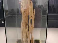 -KUNCHA鲲茶·江西制茶(铜锣湾店)