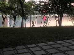 -天鹅湖体育公园