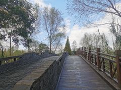 -溱湖国家湿地公园