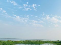 -七的湖·晚芳亭·阳澄湖农家菜·大闸蟹(莲花岛店)