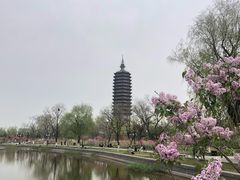 -西海子公园
