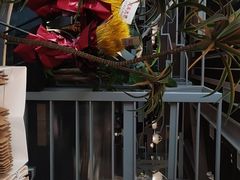 -湊湊火锅·茶憩(皇姑万象汇店)