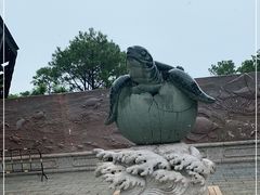 -广东惠东海龟国家级自然保护区