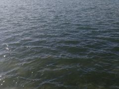 -丁香湖公园