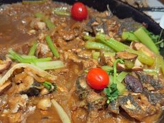 -老板恋上鱼(恒隆广场店)