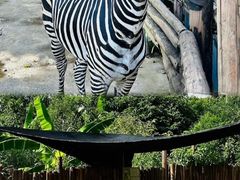 -泉州海丝野生动物世界