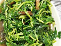 香干炒马兰头-唔呶喔哩酒家(生产街店)