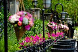 -福楼FLO·法餐婚宴(霄云路店)