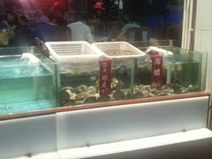 -皮记海鲜1995(寮步店)