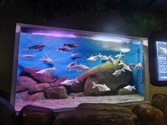 -蓬莱欧乐堡海洋极地世界