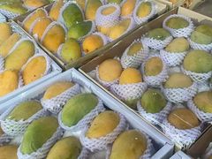 -双福水果批发市场