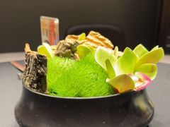 -玖味(老工人西路店)