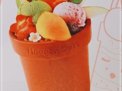 -哈根达斯(虹口店)