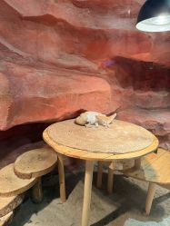 -Zoolung Zoolung动物主题公园(海信广场店)