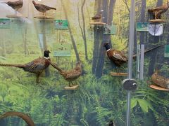 -下渚湖国家湿地公园科普馆