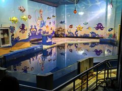 -太平洋海底世界