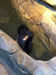 -酷嗒动物文化乐园(cutezoo西溪乐天城店)