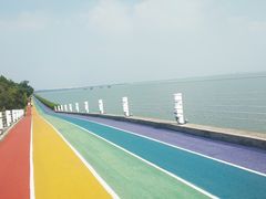 -贡湖湾湿地公园