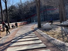 -阳台山自然风景区