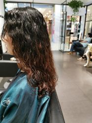 -东方麒麟·潘多拉SALON