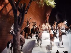 -贝林大翅鲸简餐厅(国家海洋博物馆店)