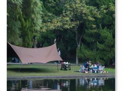 -上海共青森林公园