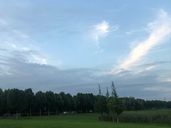 -合肥滨湖国家森林公园