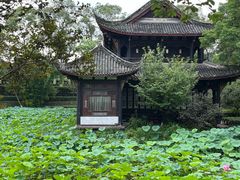 -桂湖森林公园