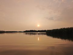 -春花秋色城市公园