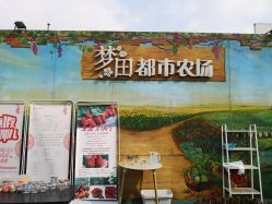 -梦田都市农场(银泰城店)