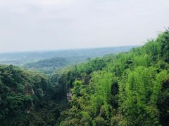 -川西竹海景区