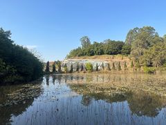 -三水森林公园