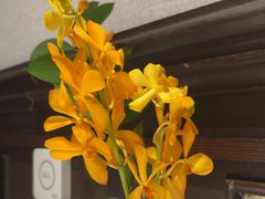 -南麓·浙里(外滩店)