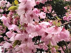 -老号尤兔头(幸福店)