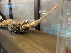 -拉完海鲜大排档(温岭店)
