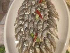 -良友·海鲜青岛菜(五四广场店)