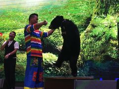 -梦幻奥陶纪景区